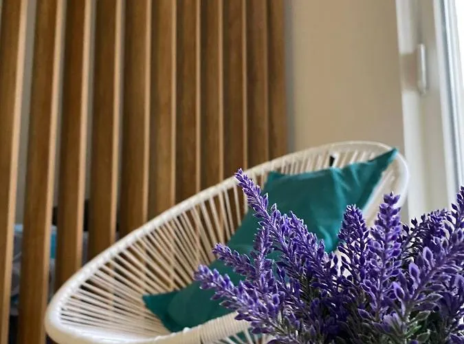 公寓 Moon 莫斯塔尔